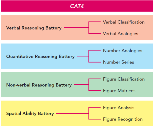 CAT4考试例题分享，该如何备考CAT4考试？