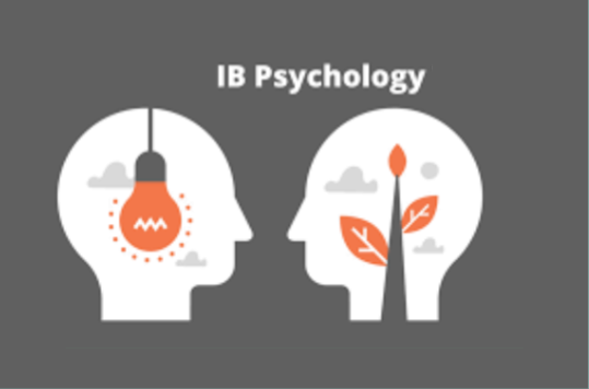 IB心理学SL和HL区别有哪些？如何选择？