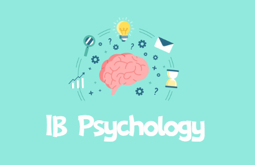 IB心理学如何拿高分？这十大备考建议要了解！